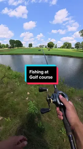 I went fishing during a golf tournament @FishAI #fishing #fishingvideos 