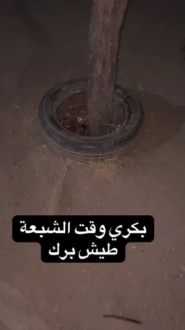 😂😂