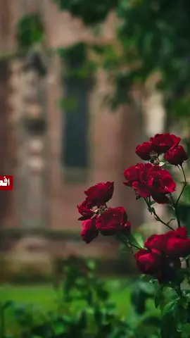 أفعل الخير خالصاً لله تعالى فقط ❤🌹#فعل_الخير💖 
