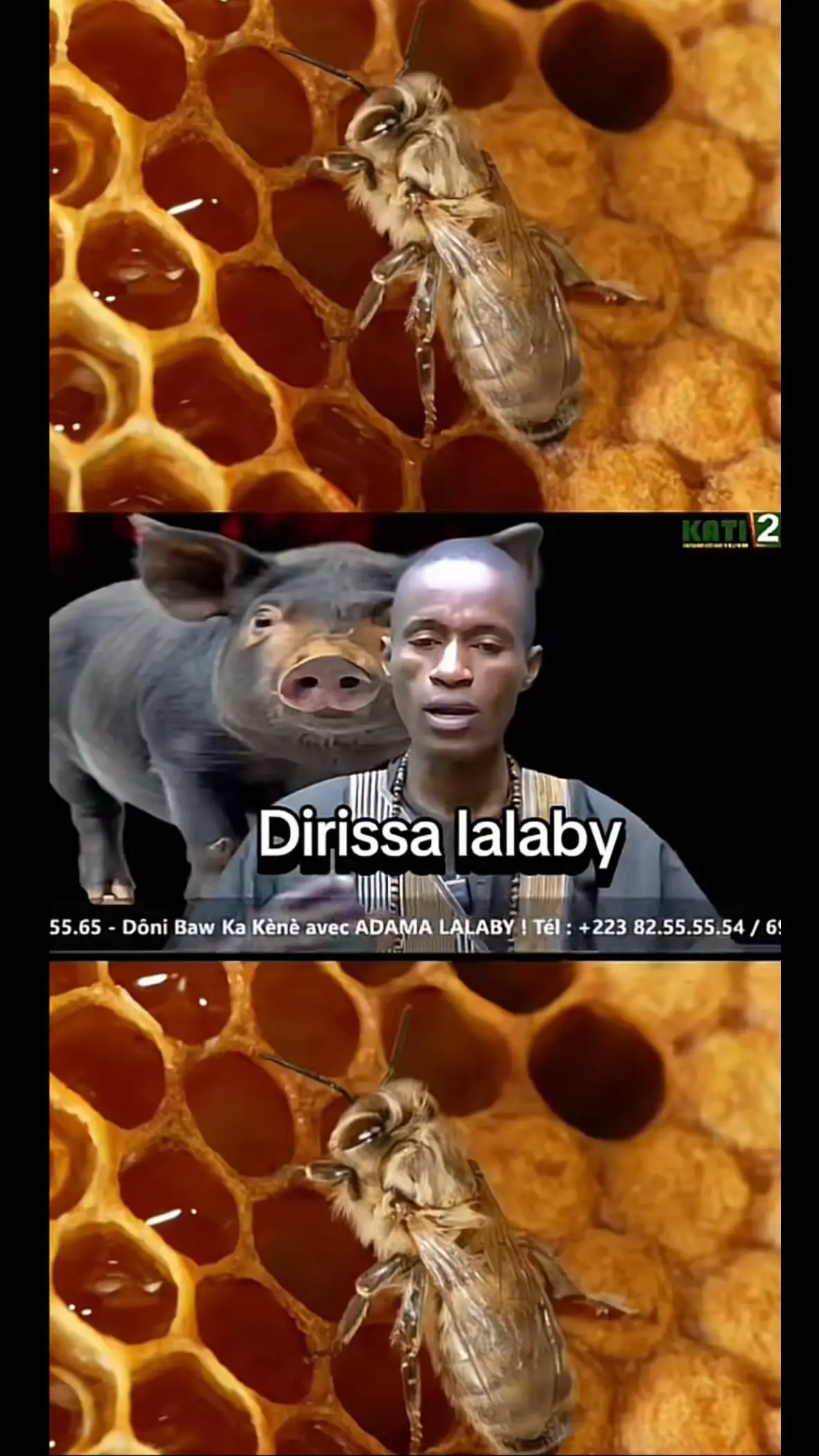 #baby #bamakomali🇲🇱 #tiktoknews #visibilitesurtiktok @KONATÉKA TIKTOK ABDOU @Lalabyka Mohamdu numéro 1 @𝑾𝒊𝒛𝒊_𝒎𝒂𝒍𝒃𝒚♥︎🇲🇱 @COMÉDIEN SOUNKALO😂 