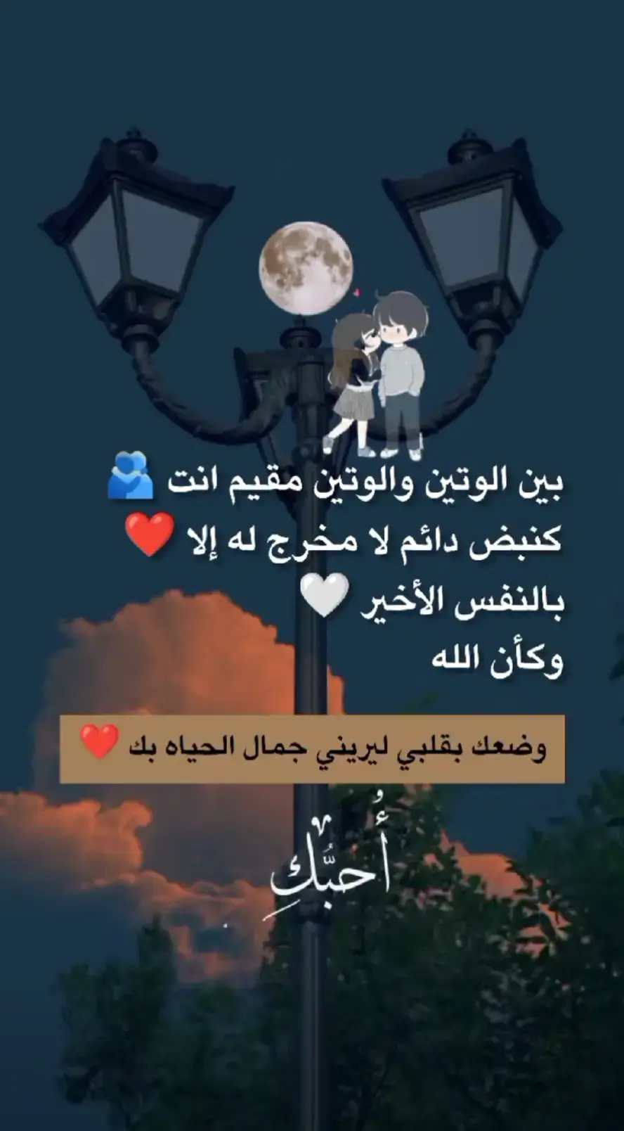 وضعك بقلبي ليريني جمال الحياه فيك ❤️
