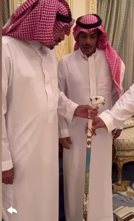 #فنجال_الشيباني #الشيابين #الهيلا #عتيبة 