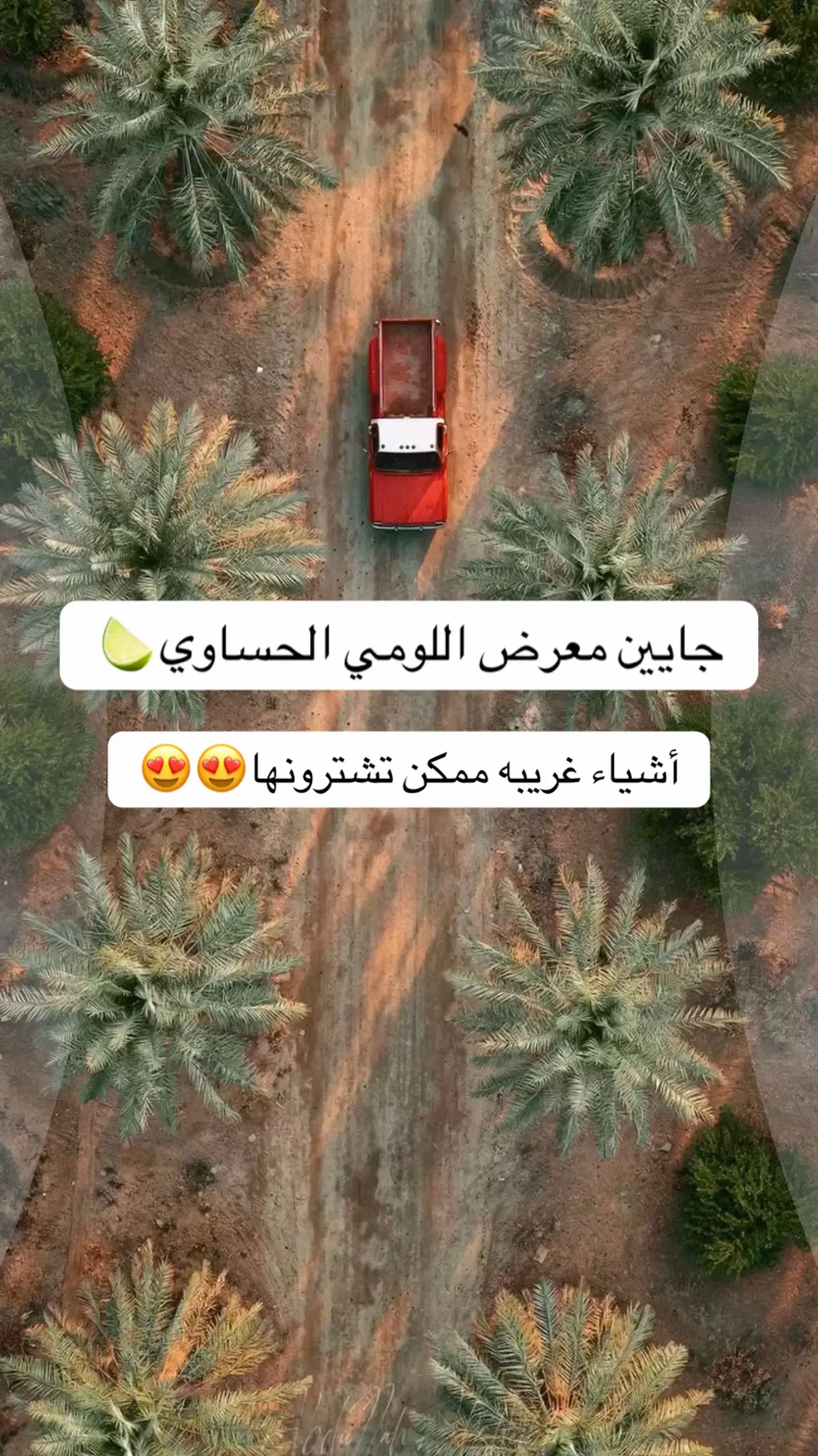 #معرض_اللومي_الحساوي #الاحساء 