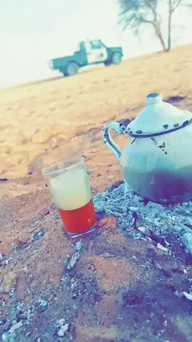 الديواني 🇩🇿