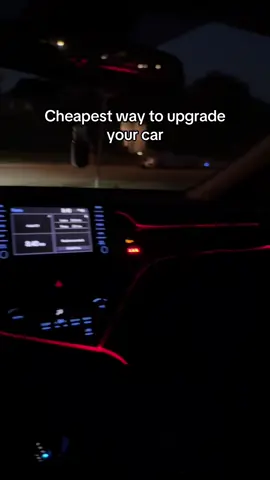 Car accessories must have #carsoftiktok #cartok #caraccessories 