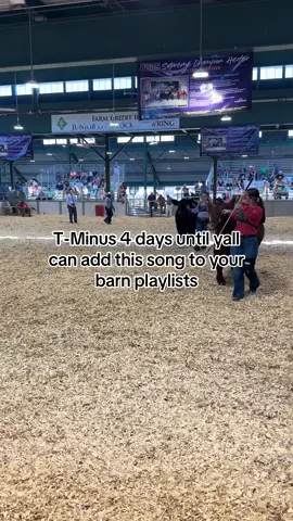 “Black Gold” Aug. 29th CMON! #livestock #stockshowlife #barn #tunes #countrykid 