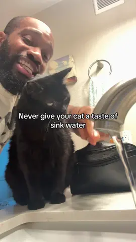 I’m telling you, it’s a trick! Lolol