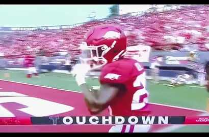 Arkansas Razorbacks Vs UAPB Golden Lions 2024 1st Half Action Rodney Hill TD & Taylen Green To Tyrone Broden TD #football #arkansas #college #nfldraft #sec 
