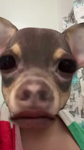 #fyp #tiktok #fypシ゚viral #ti #iphone 