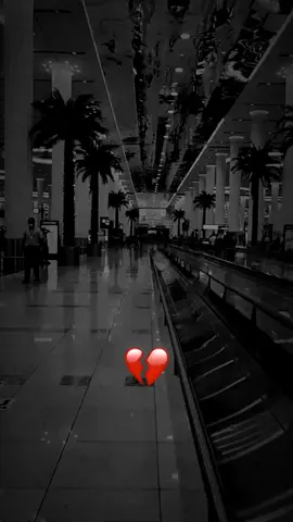 #الشعب #اعاد النشر ؤ#اعادة النشر #الشعب الصيني معاه حل