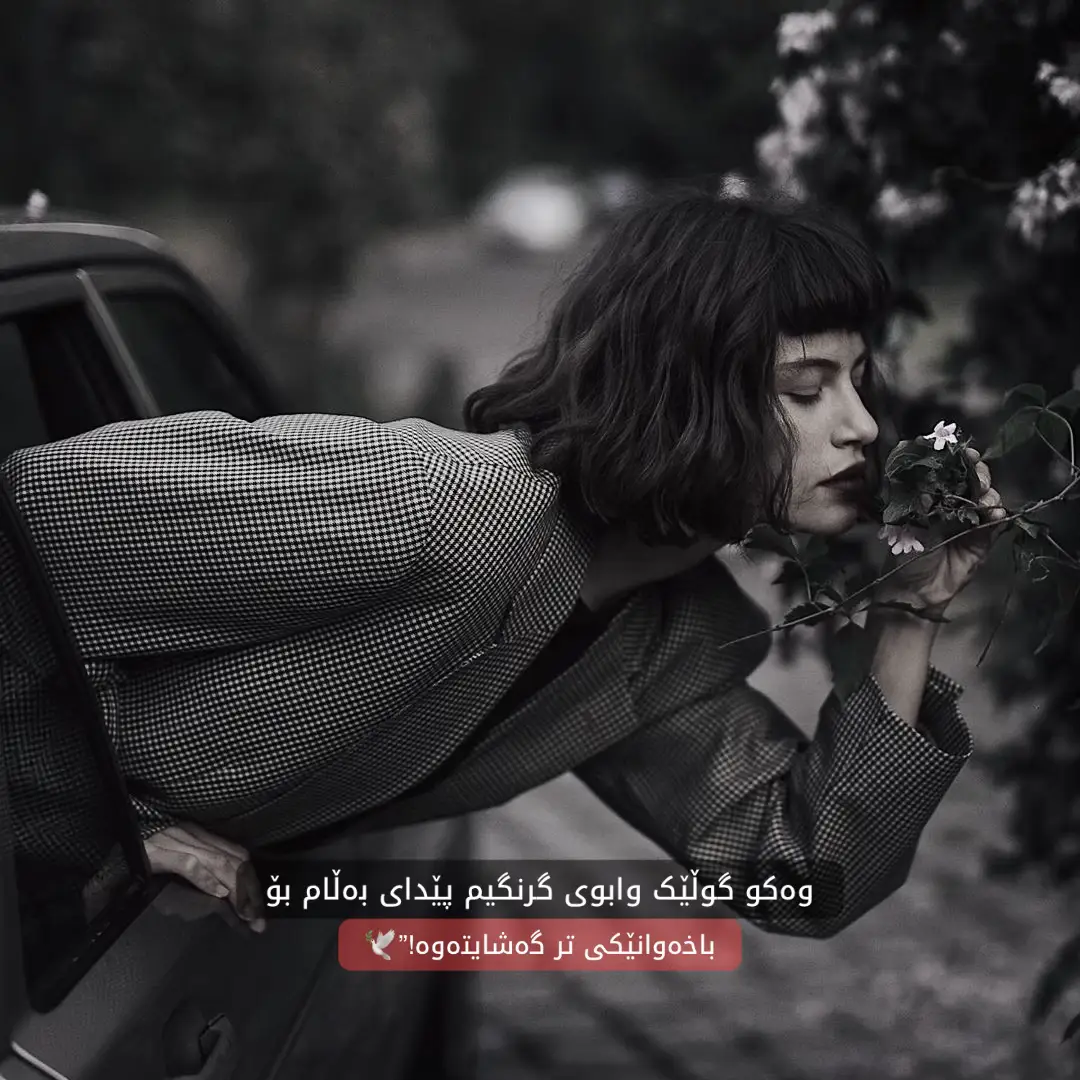گرنگیم پێدای!”🕊️ #foryou #foryoupage #fyp