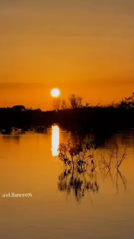 atardecer llanero ☀️#purollanofamilia🐎🐂 #Guarico🐎🐂🇻🇪 #Apure🐎🐂🇻🇪 #Barinas🐎🐎🇻🇪 #Venezuela🇻🇪🇻🇪 