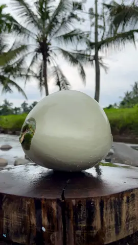 Peeling Milk Coconut Color🥛 #coconut #peeling #asmr  #trending 