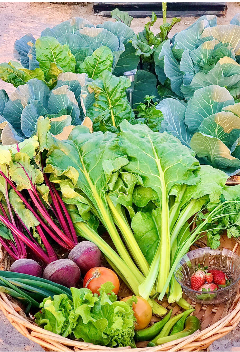 #gardenwithrubbi 