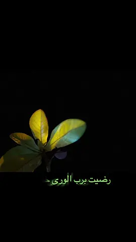 #اكسبلورexplore#سبحان_الله_وبحمده_سبحان_الله_العظيم # 