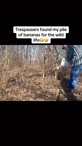 Follow for more#fyp #trespassing #woods #bananas #wild #wildlife #funny 