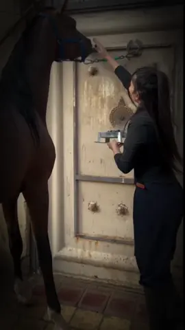 صباح الخير والسعادة 