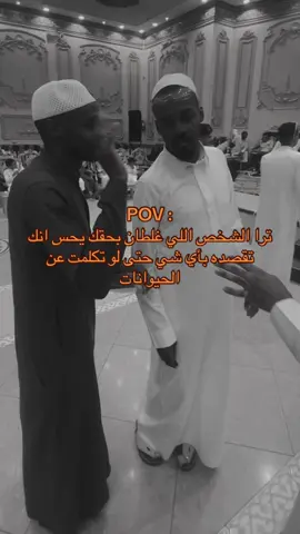 #الشعب_الصيني_ماله_حل😂😂 #اكسبلور #foryou #fybシ #explore 