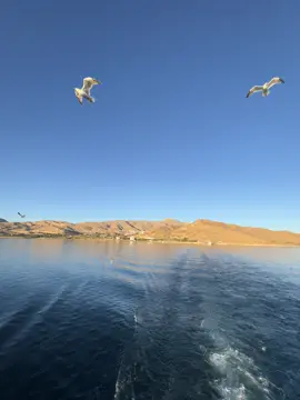 🤍🌞