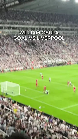WILLIAM OSULA GOAL VS LIVERPOOL!! #fyp #foryou #foryoupage #nufc #newcastle #newcastleunited #liverpool #lfc #liverpoolfc #premierleague #binksnufc #skysports #osula #williamosula 