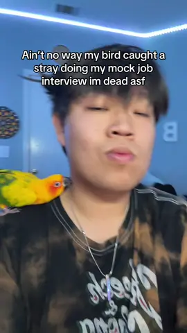WHY DID DOODLES (my bird)  GAG OMG- #fyp #jobinterview #mockinterview #parrot 