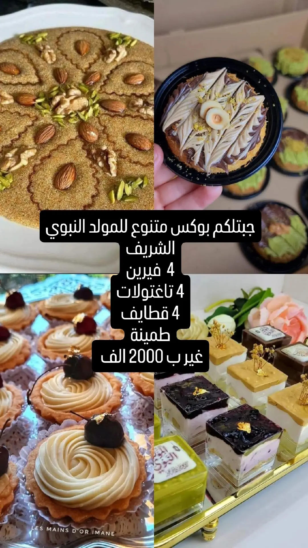 #بوكس #المولد #المولد_النبوي_الشريف #surcommande #برج-بوعريريج#fypシ゚ #tik_tok #algerie🇩🇿 