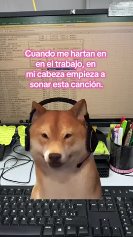 #MemeCut #ambientelaboral #compañeros #paratiiiiiiiiiiiiiiiiiiiiiiiiiiiiiii #recursoshumanos 