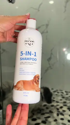 Demasiado bueno este shampoo para perro!!  @TQT PET US  #tqt #PetsOfTikTok #petlover #shampoofordogs #dogsoftiktok 