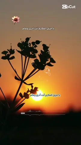 #، ياجيل المكارم 