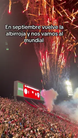 VUELVE LA ALBIRROJA 🇵🇾#paraguay #paraguayoite🇵🇾❤️ #fyp #albirroja #paratiiiiiiiiiiiiiiiiiiiiiiiiiiiiiii 