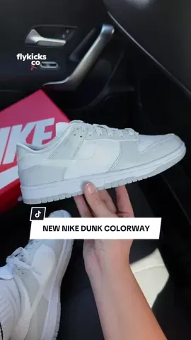 It’s a never seen before neutral Nike Dunk Low— ITS PERFECT 🤩 #nikedunks #neutralshoes #nikedunk #womenshoes 