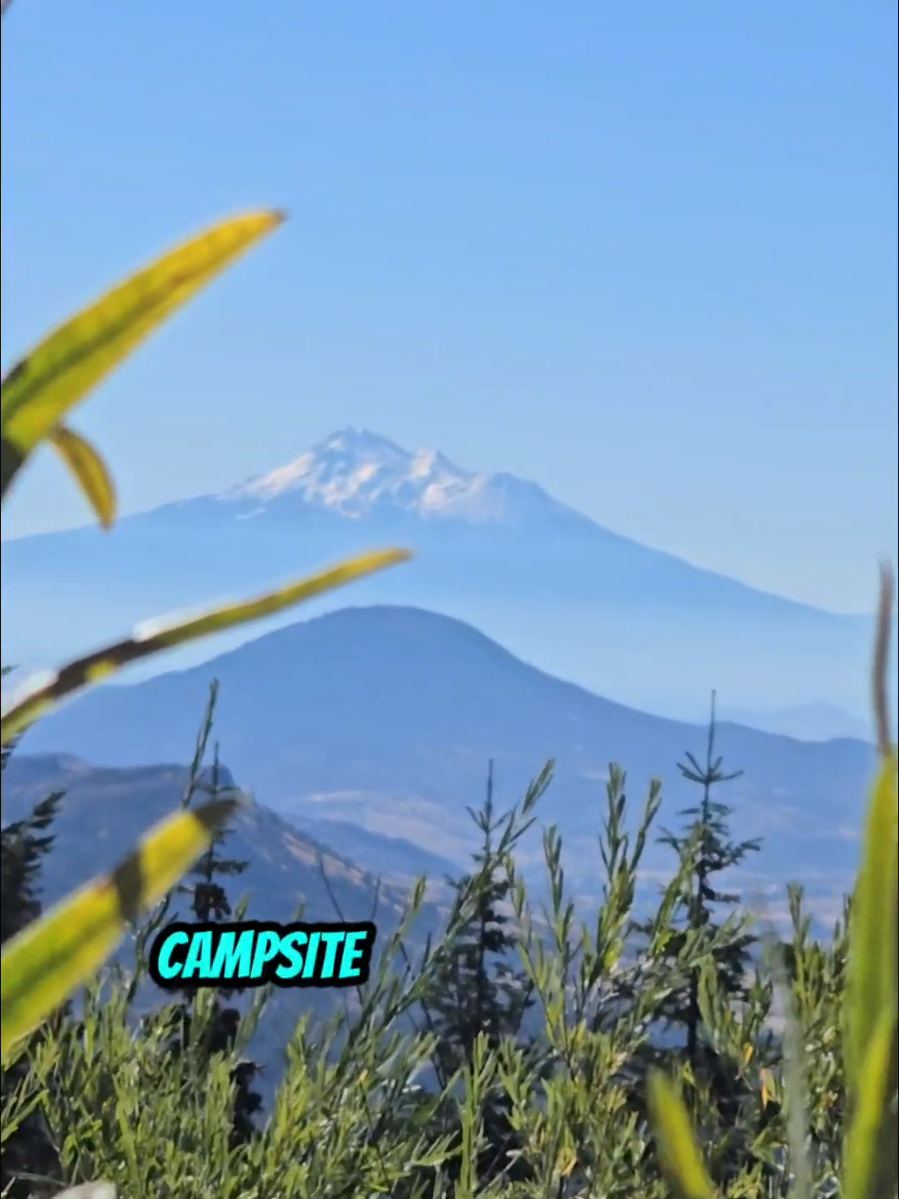 Lucked out on this spot, didn't know I'd get such a great view of Mt Shasta while needing a safe place to sleep in the van for the night. 💚💚💚 #oregon #mtshasta #campsite #vanlife #Outdoors 
