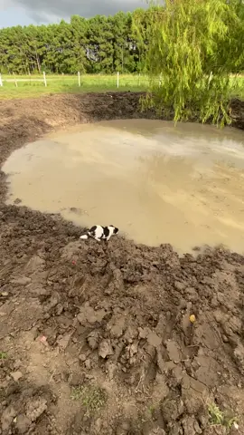 #tiktokgemscontest 