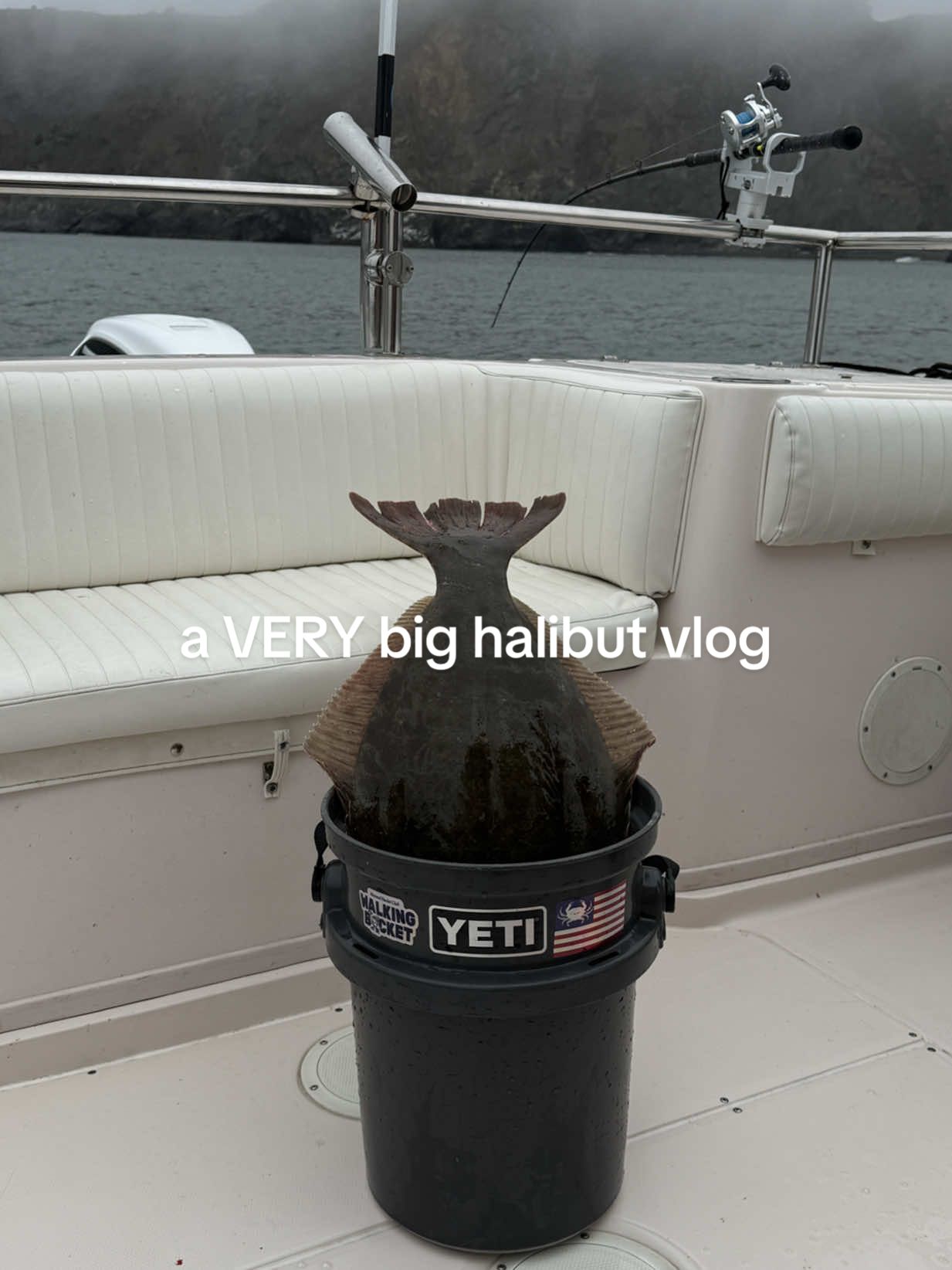 POV: you catch a fish that's the same size as you 🎣 @YETI #YETI_Partner #ad #BuiltForTheWild #halibut #halibutfishing 