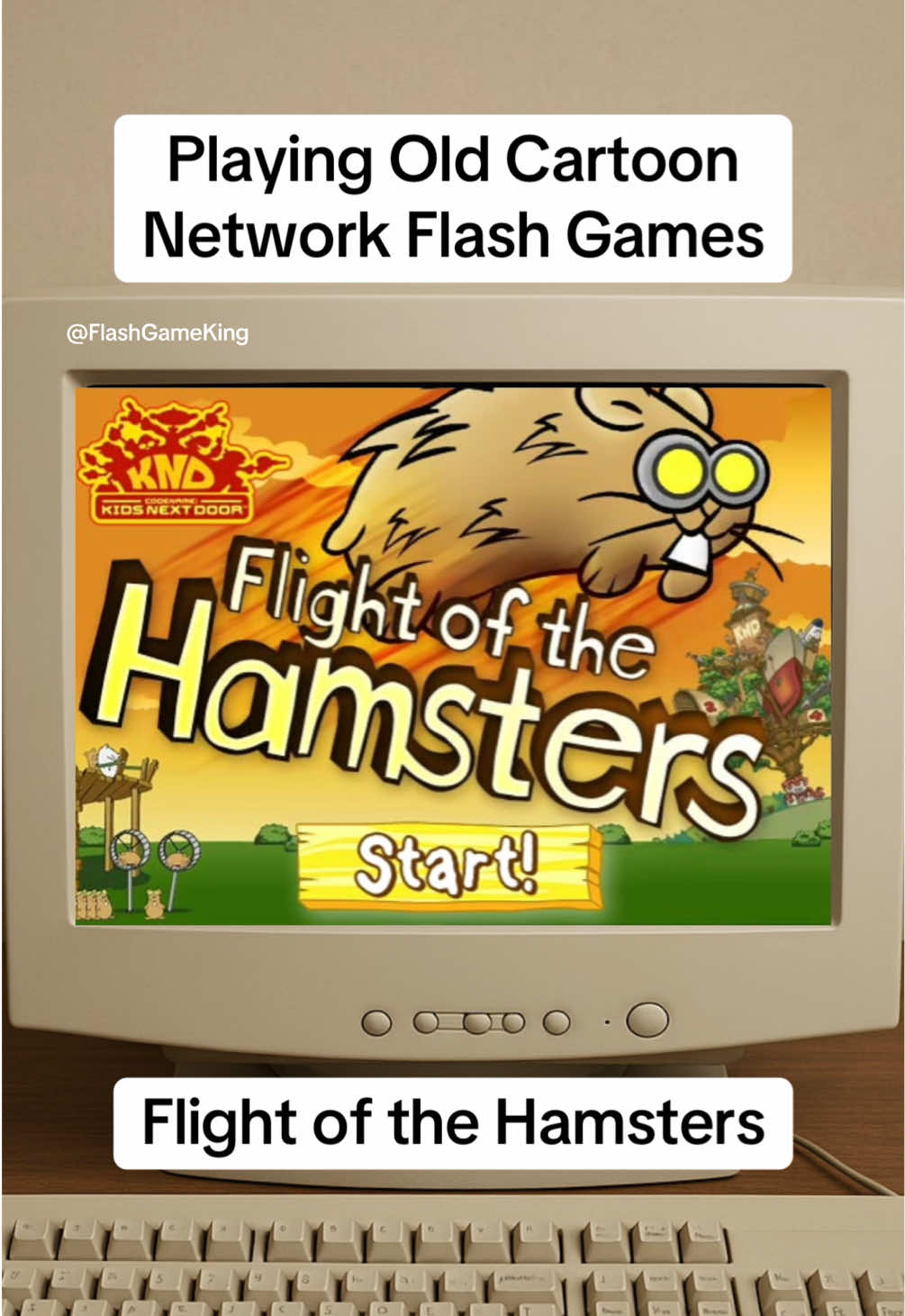 A Cartoon Network web game classic. Flight of the Hamsters from Kids Next Door #FlightOfTheHamsters #CartoonNetworkGames #RetroGames #FlashGames #KidsNextDoor
