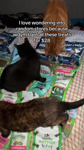 Had to travel almost 50 miles to get some nuts chopped off at the speed run neutering clinic, walked into a random bulk store, came out with my cheapest paid for cat food haul 🤩 you can’t find fun stuff like this in my town