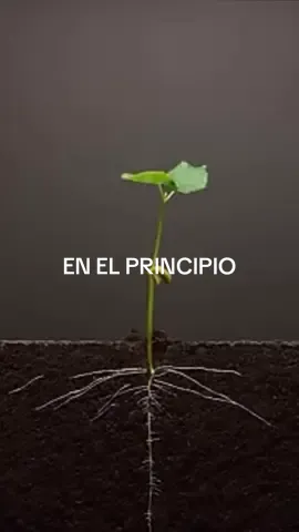 EN EL PRINCIPIO #reflexiones #teologia #Biblia #cristianos #Recuerdos 