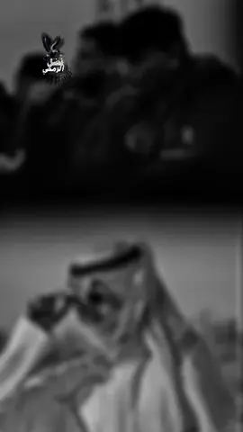 قولي بكيتي اتحسي الشاعر محمد اللافي #تصميم_فيديوهات🎶🎤🎬 #ذوقين_شعر_الشعبي #شتاوي_وغناوي_علم_ع_الفاهق❤🔥 #،fypシ #شعب_الصيني_ماله_حل😂😂 