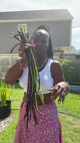 Harvesting from the garden🤗 #harvesting #inthegarden #beans #gardening #MomsofTikTok 