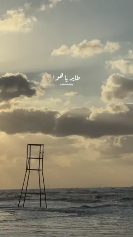 طاير يا هوا ❤️ #خالد_الصيفي #ادم_البنا #طاير_ياهوا #روقان #محمد_رشدي  @خـالـد | khaled 