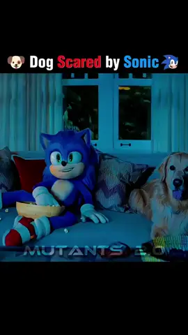 Tom's  Dog scared by Sonic💀🔥#sonic#shorts#sonic3 #shoetsvideo#trending