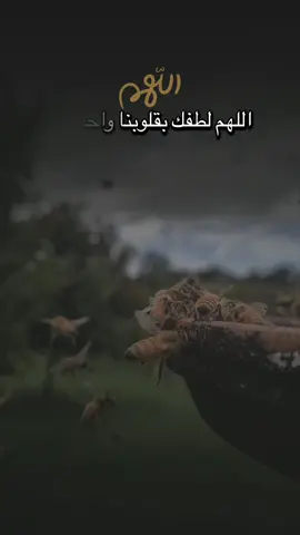 يارب 🤲 