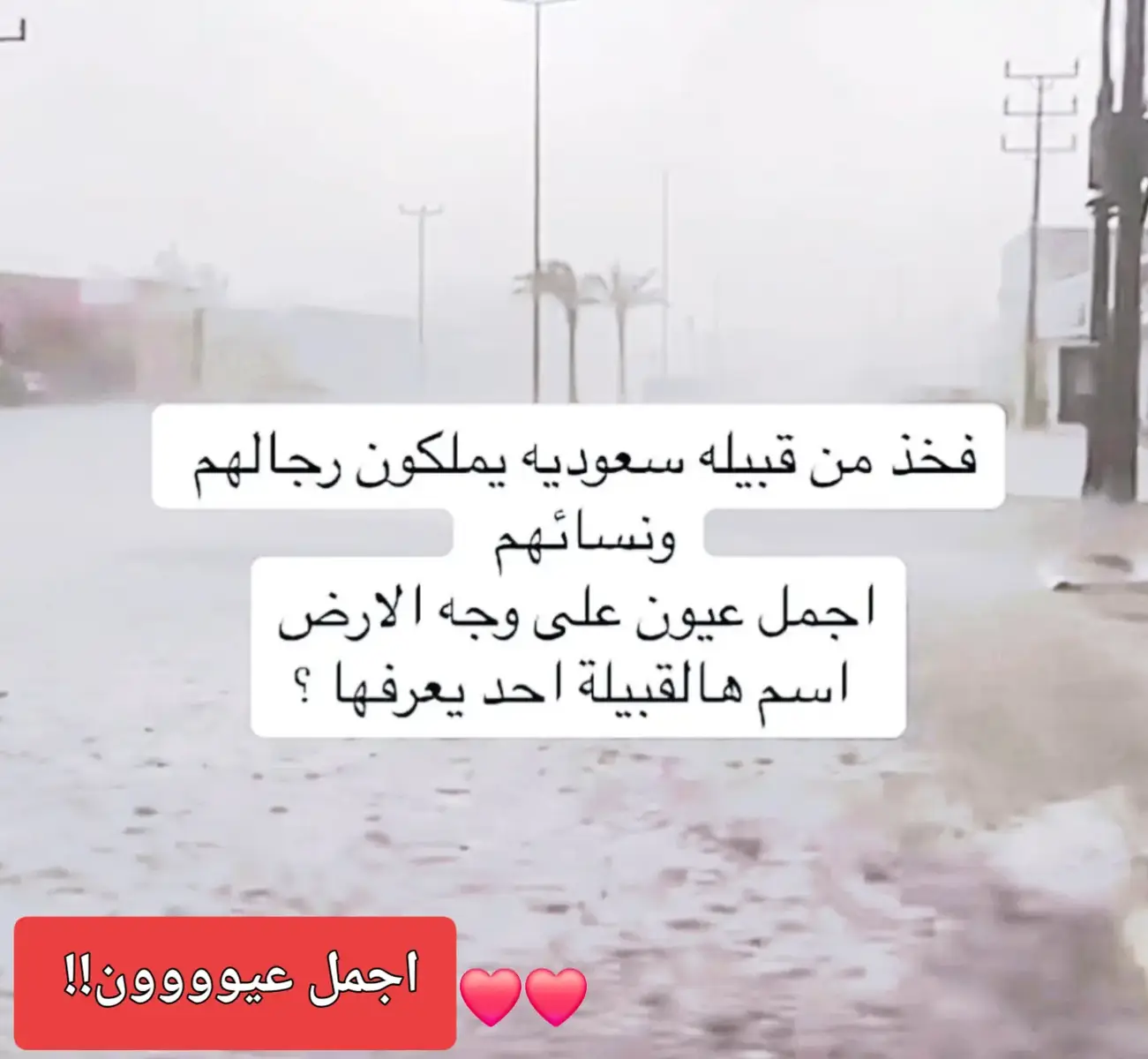 #عيني انا في عينه والقلوب ابعاد#❤️ 