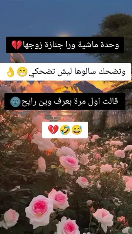 #عمحكيكن🌝📿 #الشعب_الصيني_ماله_حل😂😂 #ستوريات❤️ #😂😂😂 
