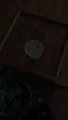 #CapCut 