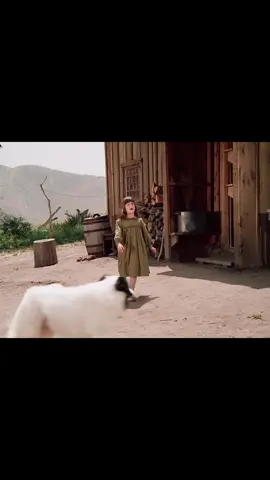 LHOP Season 4 The Wolves Part 4 #littlehouseontheprairie #fy #foryoupage #fypシ゚viral #fypage 