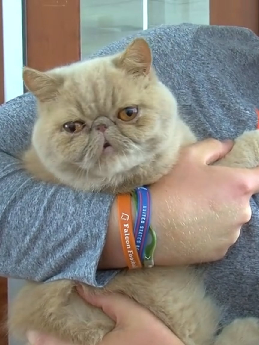 I asked Eddie George his thoughts on Pudge the locker room cat: 