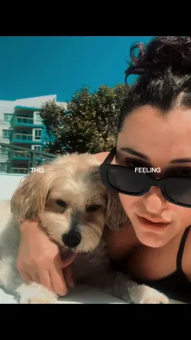 He’s with me on my good days, bad days and every day in between 🥹💘 #capcut #rescuedogs #bestfriend #souldog @Santi 
