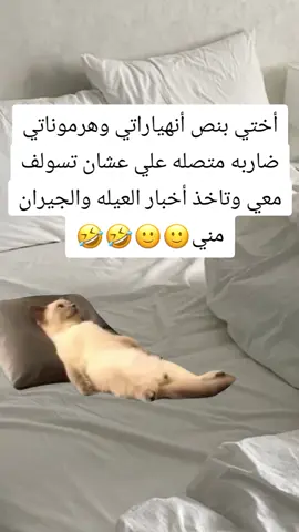 #Meme #MemeCut #CapCut مافي وقت للانهيار عند خواتي🤣🤣🤣🤣#fypシ #الشعب_الصيني_ماله_حل😂😂 