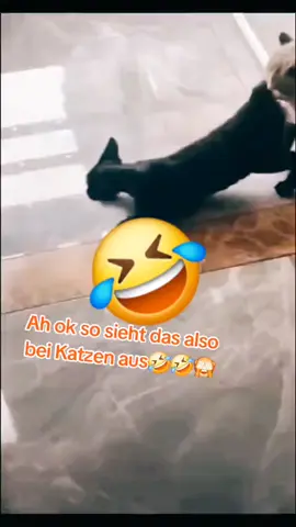 #🤣🤣🤣🤣🤣🤣🤣🤣🤣🤣🤣🤣🤣🤣🤣🤣 #brechabvorlachen😂😂 #goviral #viralbitte #tiktok 